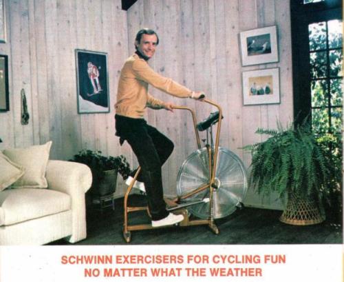 Schwinn 1980-9